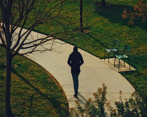 person taking a calm walk in an urban park
